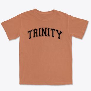 Trinity Early Learning Center Varsity Arch Premium Heavyweight T-shirt