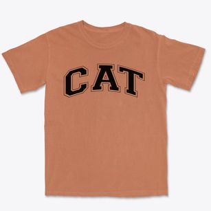 Center Of Applied Technology South Varsity Arch Premium Heavyweight T-shirt