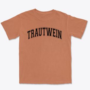 Trautwein Elementary School Varsity Arch Premium Heavyweight T-shirt
