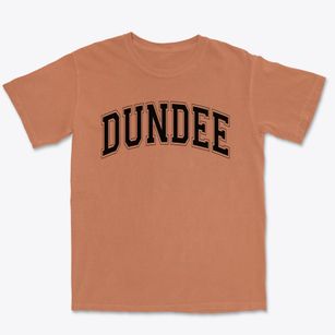 Dundee Elementary School Varsity Arch Premium Heavyweight T-shirt