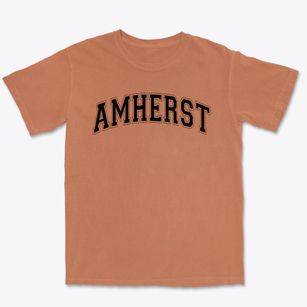 Amherst Junior High School Varsity Arch Premium Heavyweight T-shirt