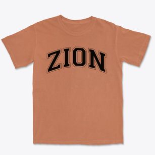 Zion Christian Academy Varsity Arch Premium Heavyweight T-shirt