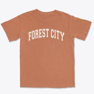 Forest City High School Varsity Arch Premium Heavyweight T-shirt