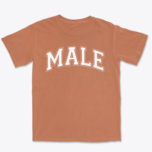 Louisville Male High School Varsity Arch Premium Heavyweight T-shirt