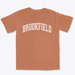 Brookfield Elementary School Varsity Arch Premium Heavyweight T-shirt