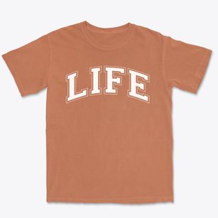 Life Christian Academy Varsity Arch Premium Heavyweight T-shirt