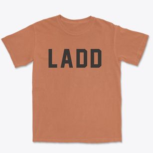 Ladd Illinois Classic Block Premium Heavyweight T-shirt