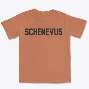 Schenevus New York Classic Block Premium Heavyweight T-shirt