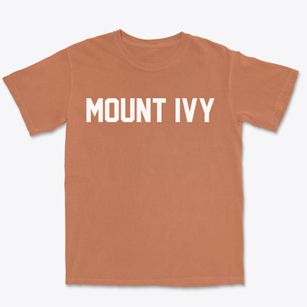 Mount Ivy New York Classic Block Premium Heavyweight T-shirt