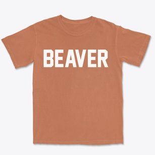 Beaver Pennsylvania Classic Block Premium Heavyweight T-shirt