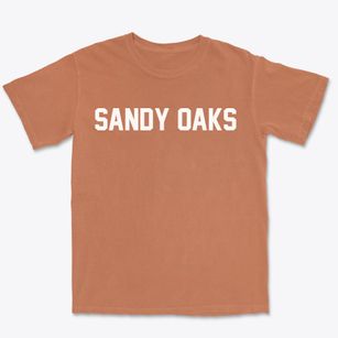 Sandy Oaks Texas Classic Block Premium Heavyweight T-shirt