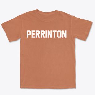 Perrinton Michigan Classic Block Premium Heavyweight T-shirt