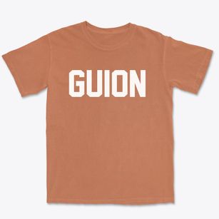 Guion Arkansas Classic Block Premium Heavyweight T-shirt
