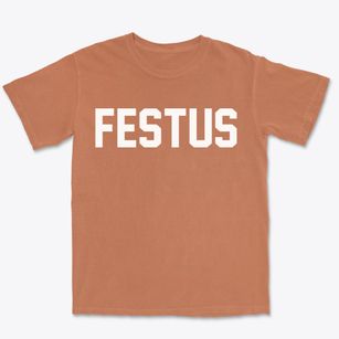 Festus Missouri Classic Block Premium Heavyweight T-shirt