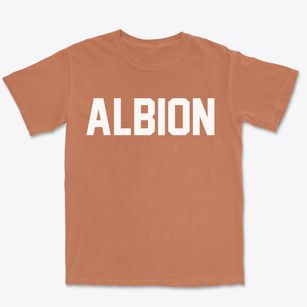 Albion New York Classic Block Premium Heavyweight T-shirt