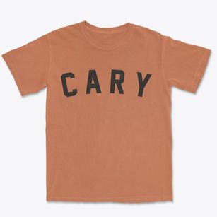 Cary Wisconsin Classic Curve Premium Heavyweight T-shirt