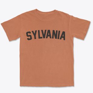 Sylvania Pennsylvania Classic Curve Premium Heavyweight T-shirt