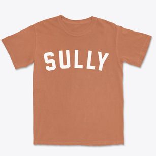Sully Iowa Classic Curve Premium Heavyweight T-shirt