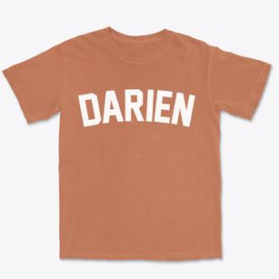 Darien Illinois Classic Curve Premium Heavyweight T-shirt