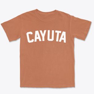 Cayuta New York Classic Curve Premium Heavyweight T-shirt