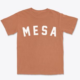 Mesa Arizona Classic Curve Premium Heavyweight T-shirt