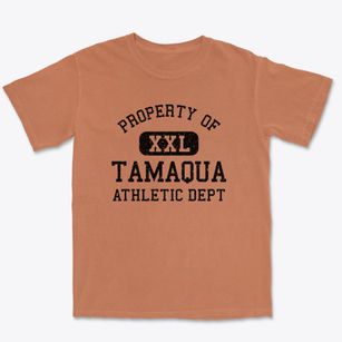 Tamaqua Pennsylvania Athletic Dept Premium Heavyweight T-shirt
