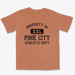 Pine City Minnesota Athletic Dept Premium Heavyweight T-shirt