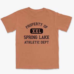 Spring Lake New Jersey Athletic Dept Premium Heavyweight T-shirt