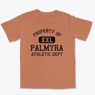 Palmyra Maine Athletic Dept Premium Heavyweight T-shirt