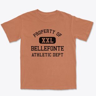 Bellefonte Delaware Athletic Dept Premium Heavyweight T-shirt