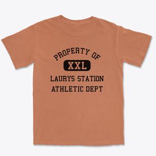 Laurys Station Pennsylvania Athletic Dept Premium Heavyweight T-shirt