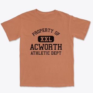 Acworth New Hampshire Athletic Dept Premium Heavyweight T-shirt