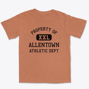 Allentown Georgia Athletic Dept Premium Heavyweight T-shirt