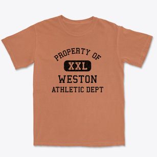 Weston Florida Athletic Dept Premium Heavyweight T-shirt