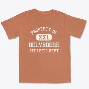 Belvedere South Carolina Athletic Dept Premium Heavyweight T-shirt