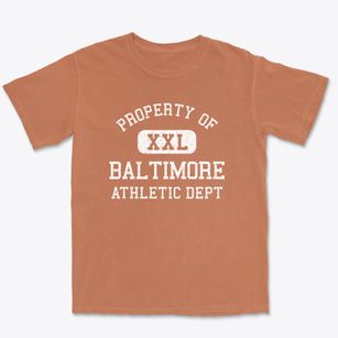 Baltimore Maryland Athletic Dept Premium Heavyweight T-shirt
