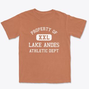 Lake Andes South Dakota Athletic Dept Premium Heavyweight T-shirt