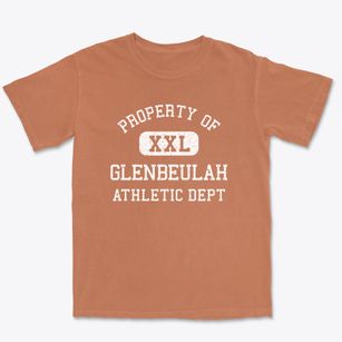 Glenbeulah Wisconsin Athletic Dept Premium Heavyweight T-shirt
