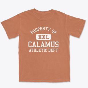 Calamus Iowa Athletic Dept Premium Heavyweight T-shirt