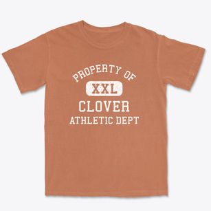 Clover Wisconsin Athletic Dept Premium Heavyweight T-shirt