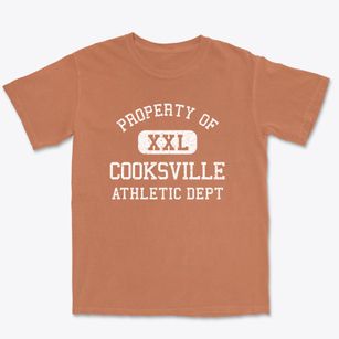 Cooksville Illinois Athletic Dept Premium Heavyweight T-shirt