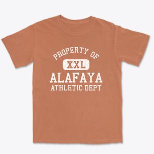 Alafaya Florida Athletic Dept Premium Heavyweight T-shirt