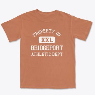 Bridgeport West Virginia Athletic Dept Premium Heavyweight T-shirt