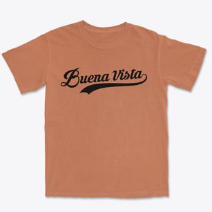 Buena Vista Virginia Vintage Team Premium Heavyweight T-shirt