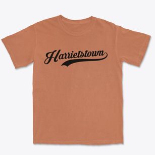 Harrietstown New York Vintage Team Premium Heavyweight T-shirt
