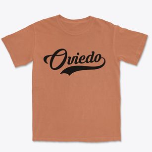 Oviedo Florida Vintage Team Premium Heavyweight T-shirt