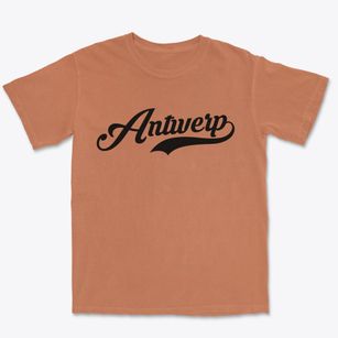 Antwerp New York Vintage Team Premium Heavyweight T-shirt