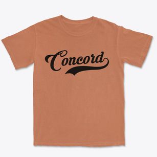 Concord Virginia Vintage Team Premium Heavyweight T-shirt
