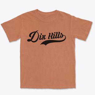 Dix Hills New York Vintage Team Premium Heavyweight T-shirt