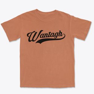 Wantagh New York Vintage Team Premium Heavyweight T-shirt